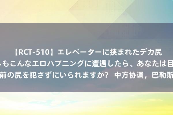 【RCT-510】エレベーターに挟まれたデカ尻女子校生をガン突き もしもこんなエロハプニングに遭遇したら、あなたは目の前の尻を犯さずにいられますか？ 中方协调，巴勒斯坦各家数在北京举行妥协对话