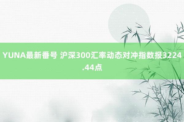 YUNA最新番号 沪深300汇率动态对冲指数报3224.44点