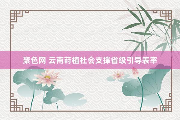 聚色网 云南莳植社会支撑省级引导表率