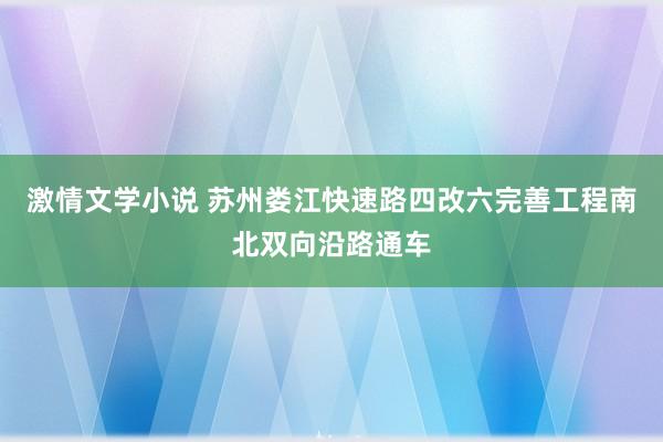 激情文学小说 苏州娄江快速路四改六完善工程南北双向沿路通车