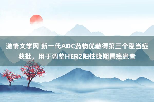 激情文学网 新一代ADC药物优赫得第三个稳当症获批，用于调整HER2阳性晚期胃癌患者