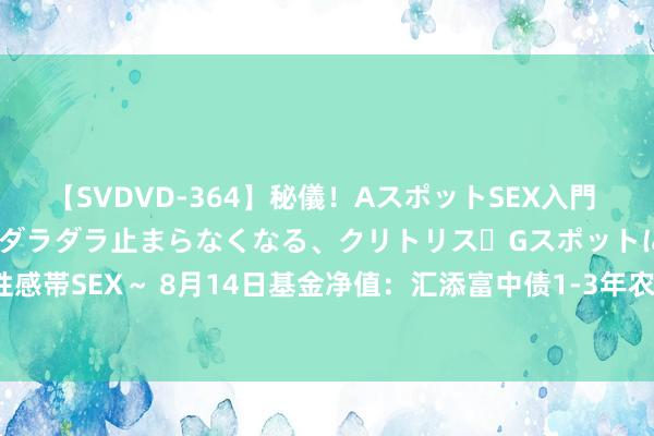 【SVDVD-364】秘儀！AスポットSEX入門 ～刺激した瞬間から愛液がダラダラ止まらなくなる、クリトリス・Gスポットに続く重要性感帯SEX～ 8月14日基金净值：汇添富中债1-3年农发债A最新净值1.0729，涨0.07%