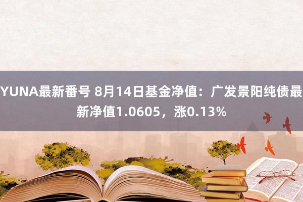 YUNA最新番号 8月14日基金净值：广发景阳纯债最新净值1.0605，涨0.13%