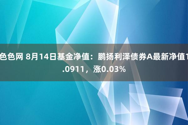 色色网 8月14日基金净值：鹏扬利泽债券A最新净值1.0911，涨0.03%