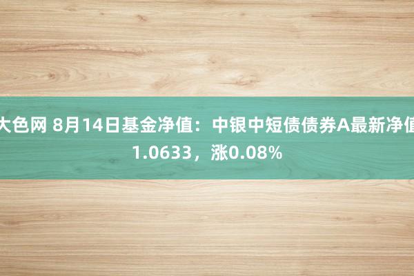 大色网 8月14日基金净值：中银中短债债券A最新净值1.0633，涨0.08%