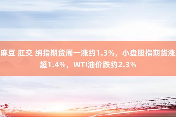 麻豆 肛交 纳指期货周一涨约1.3%，小盘股指期货涨超1.4%，WTI油价跌约2.3%