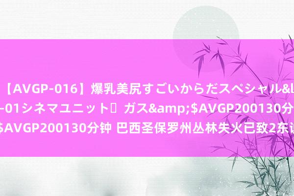 【AVGP-016】爆乳美尻すごいからだスペシャル</a>2007-12-01シネマユニット・ガス&$AVGP200130分钟 巴西圣保罗州丛林失火已致2东说念主示寂