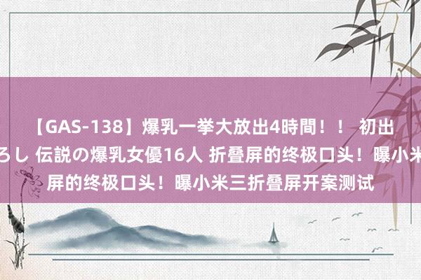 【GAS-138】爆乳一挙大放出4時間！！ 初出し！すべて撮り下ろし 伝説の爆乳女優16人 折叠屏的终极口头！曝小米三折叠屏开案测试