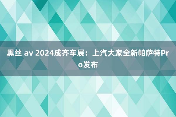 黑丝 av 2024成齐车展：上汽大家全新帕萨特Pro发布