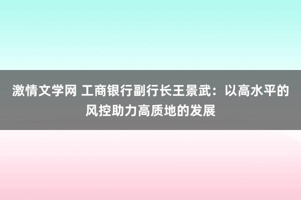 激情文学网 工商银行副行长王景武：以高水平的风控助力高质地的发展