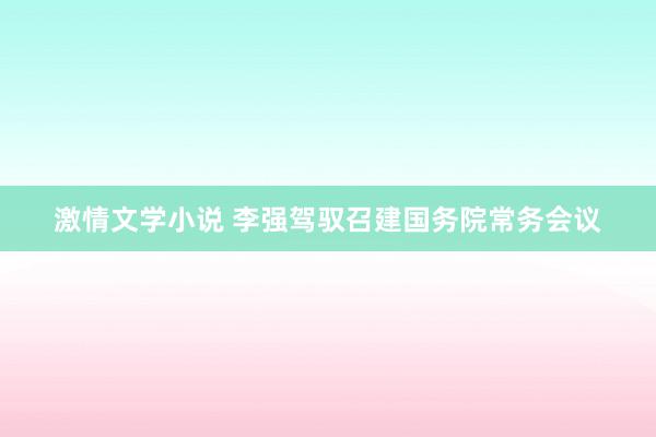 激情文学小说 李强驾驭召建国务院常务会议