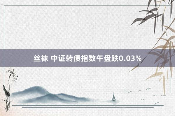 丝袜 中证转债指数午盘跌0.03%