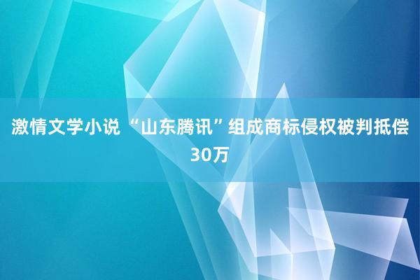 激情文学小说 “山东腾讯”组成商标侵权被判抵偿30万